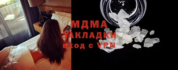 прущие грибы Кострома