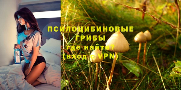 таблы Новодвинск