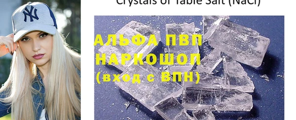 индика Белокуриха