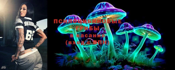 крисы Вязники