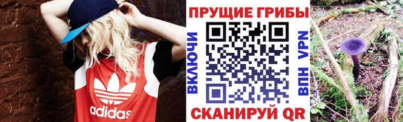 наркотики  Ряжск  Псилоцибиновые грибы MAGIC MUSHROOMS 